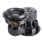 Sundown Audio M12.  2 Ohm, 2000W RMS/4000W