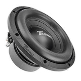 Timpano 10"  D4 T1000